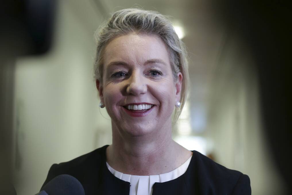 GET THE MESSAGE: Federal Agriculture Minister, Bridget McKenzie, said travellers aren't getting the message about the dangers of bringing foreign pork into Australia. 
