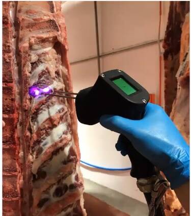 TWO PRONGED ATTACK: An extra probe has been added to the MEQ device which objectively measures eating quality traits of meat carcases. 