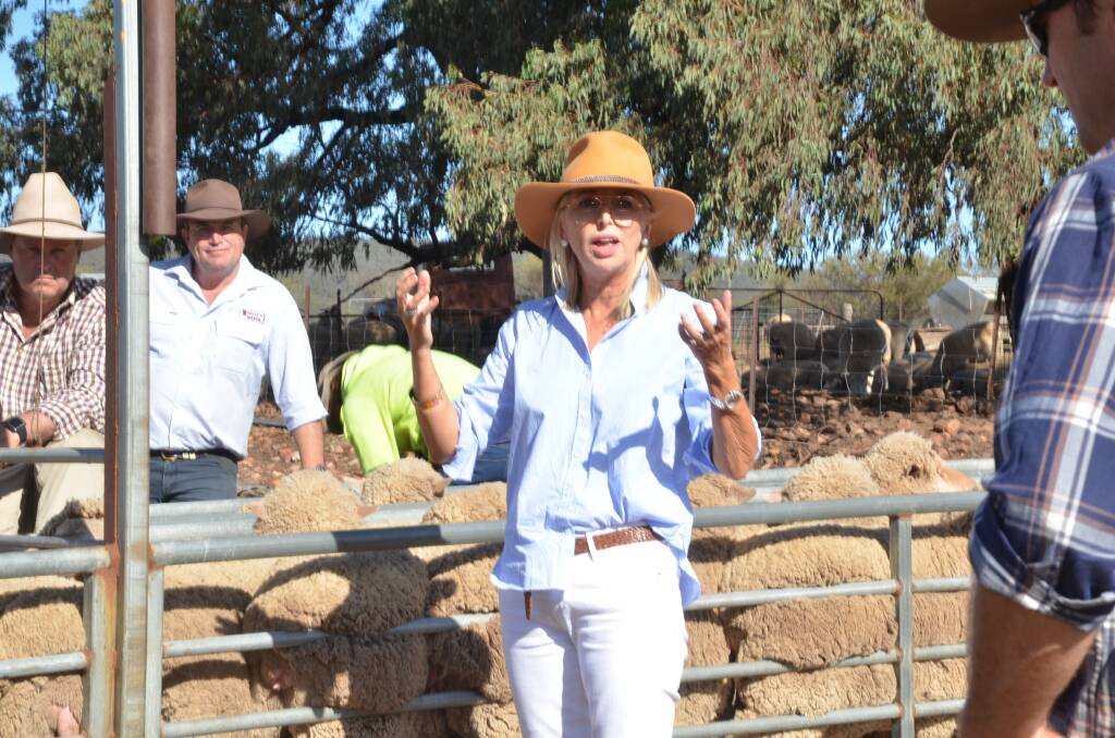 TOUGH TIMES: Australian Wool Innovation chairman, Colette Garnsey, said growers should batten down for a tough six months because of the impact of coronavirus. Picture: MARK GRIGGS