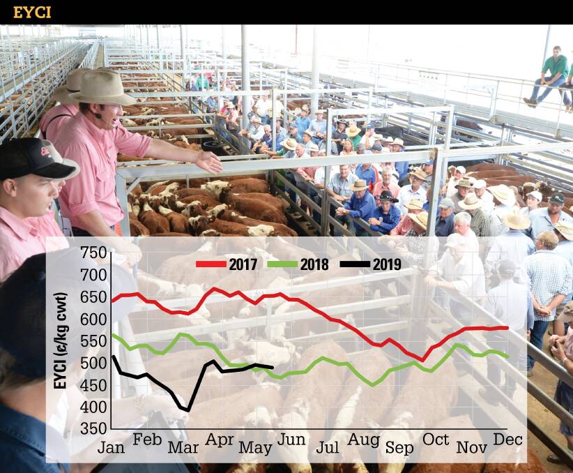EYCI DIPS: The Eastern Young Cattle Indicator took a 14-cent tumble on Tuesday after looking poised last week to crash back through the 500c barrier. 