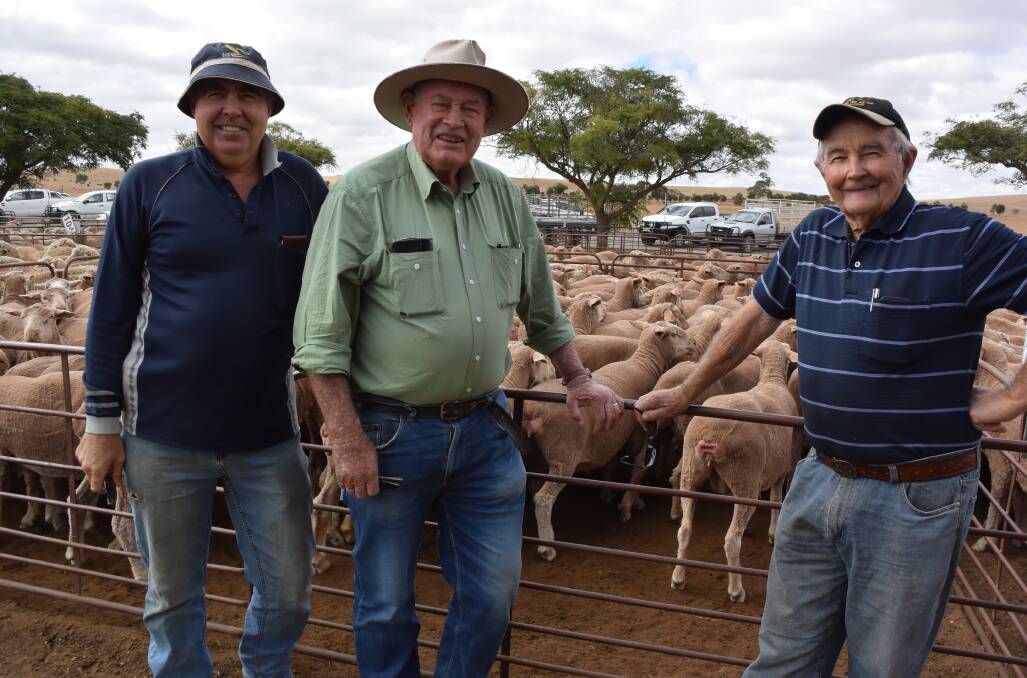 MARKET DAY: Grant and Peter McPharlin, Balaklava, SA, with Nutrien agent Mel Haynes (middle), combing through young ewes at Jamestown, SA. 