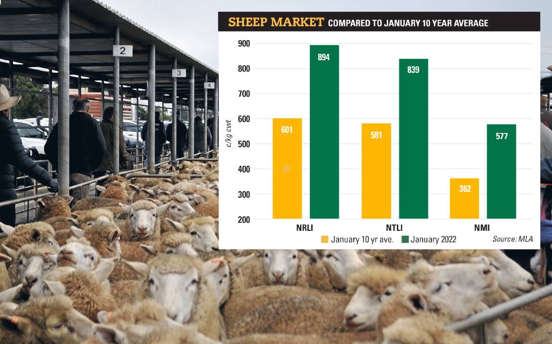 Sheep market prices defying expectations