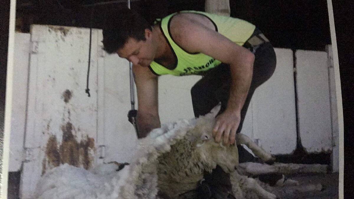 Now a contractor of a number of shearing teams, Ray Meredith has loved shearing since he was a young boy, taking it up professionally when he was 15 years old. 