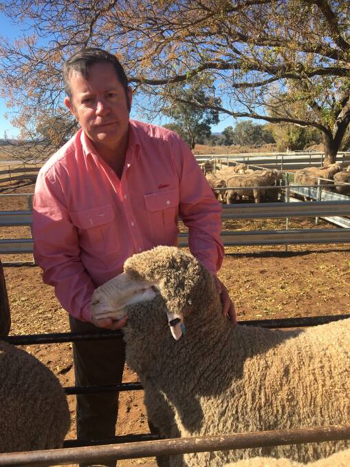 Elders Central Western NSW district wool manager and livestock production advisor, Gregory Sawyer