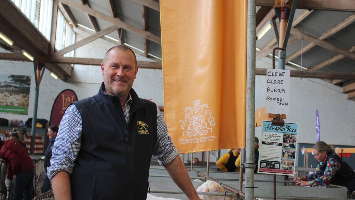 Glenn Haynes said working with NZ will be a more productive solution, leading to better outcomes in the sheep and wool industries for both countries.