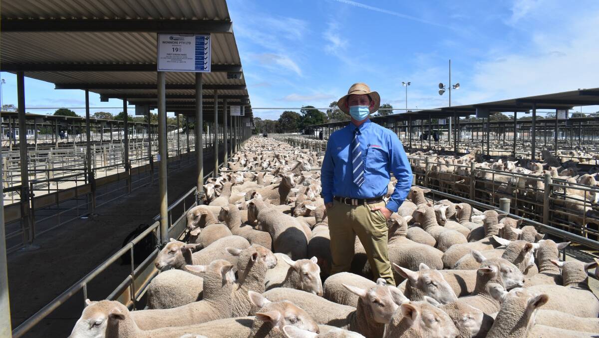 Ash Bayliss was representing family with this pen of 198 ewe lambs, account Monmore, Woodstock, that sold for $336. 