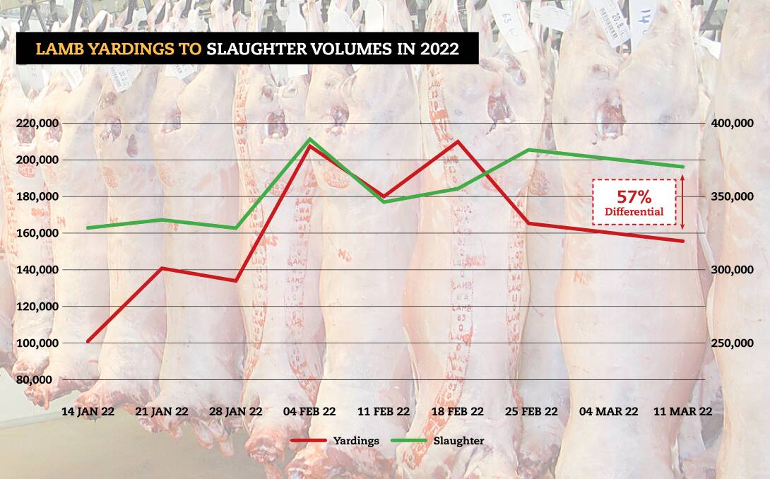 WHAT'S IN A NUMBER: The gap between lambs sold at the saleyard and lambs processed has reached its widest point since late January. 