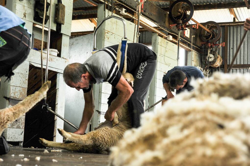 Prices hover in Australian wool market