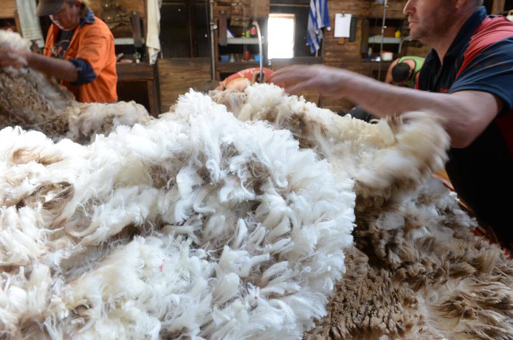 In contrast to 2017, this year has brought about increases not only fine and medium wool, but also across coarse wool categories.