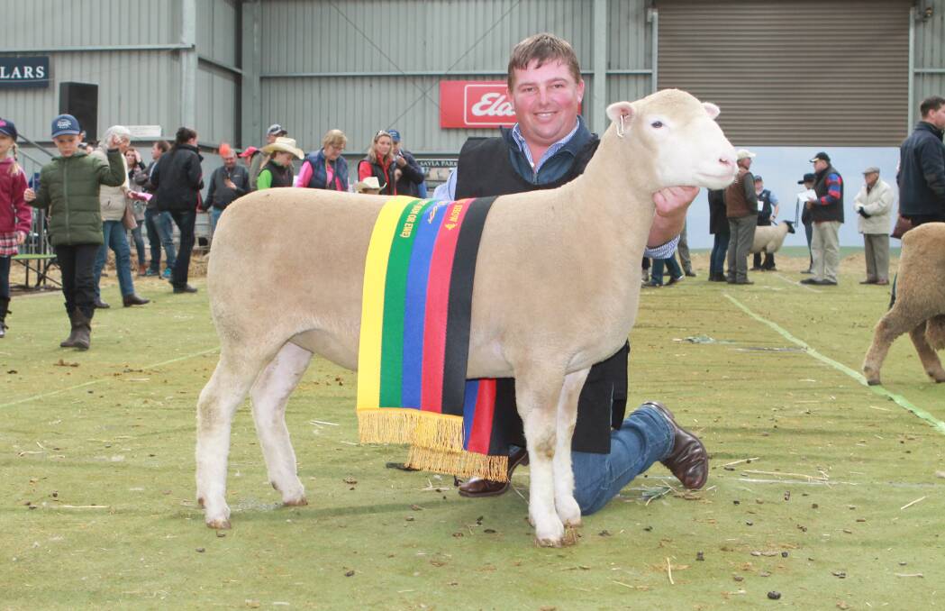 James Frost from Hillden stud, Bannister, with the supreme prime lamb exhibit, a 15 month-old ewe, 224-17.