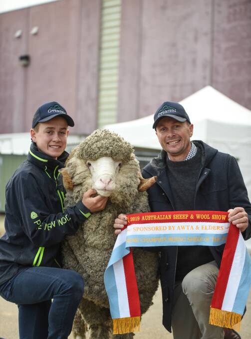 Harry and Rod Miller, Glenpaen Merino stud, Brimpaen, with their supreme Merino exhibit at the 2019 Australian Sheep & Wool Show. Photo by Ruby Canning.