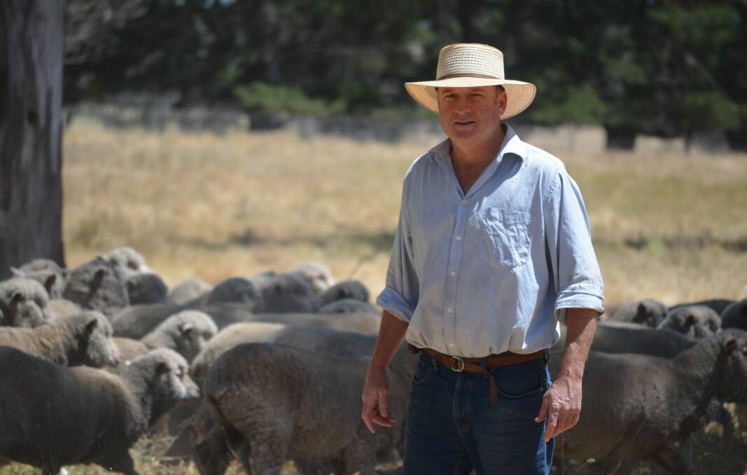 BRIGHT FUTURE: New president of WoolProducers Australia, Ed Storey at his sheep enterprise at Yass, NSW. Mr Storey said that the wool industry is extremely well placed for a very bright future. 