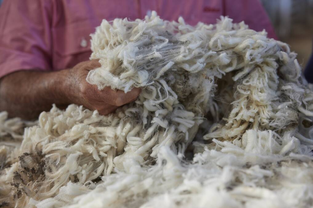BIG INVESTMENT: Elders says all the investments it has planned for new wool handling over the next year will cost $25 million. 