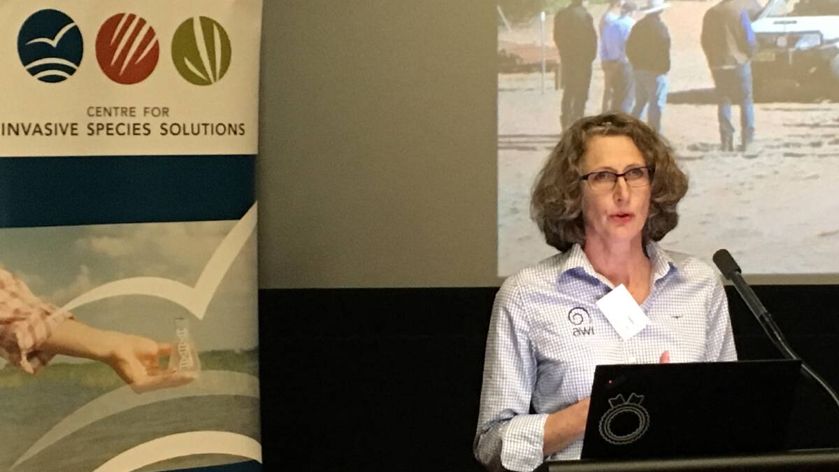 Australian Wool Innovation's general manager for research, Dr Jane Littlejohn, said the rise in resistance is a major problem developing across the country.