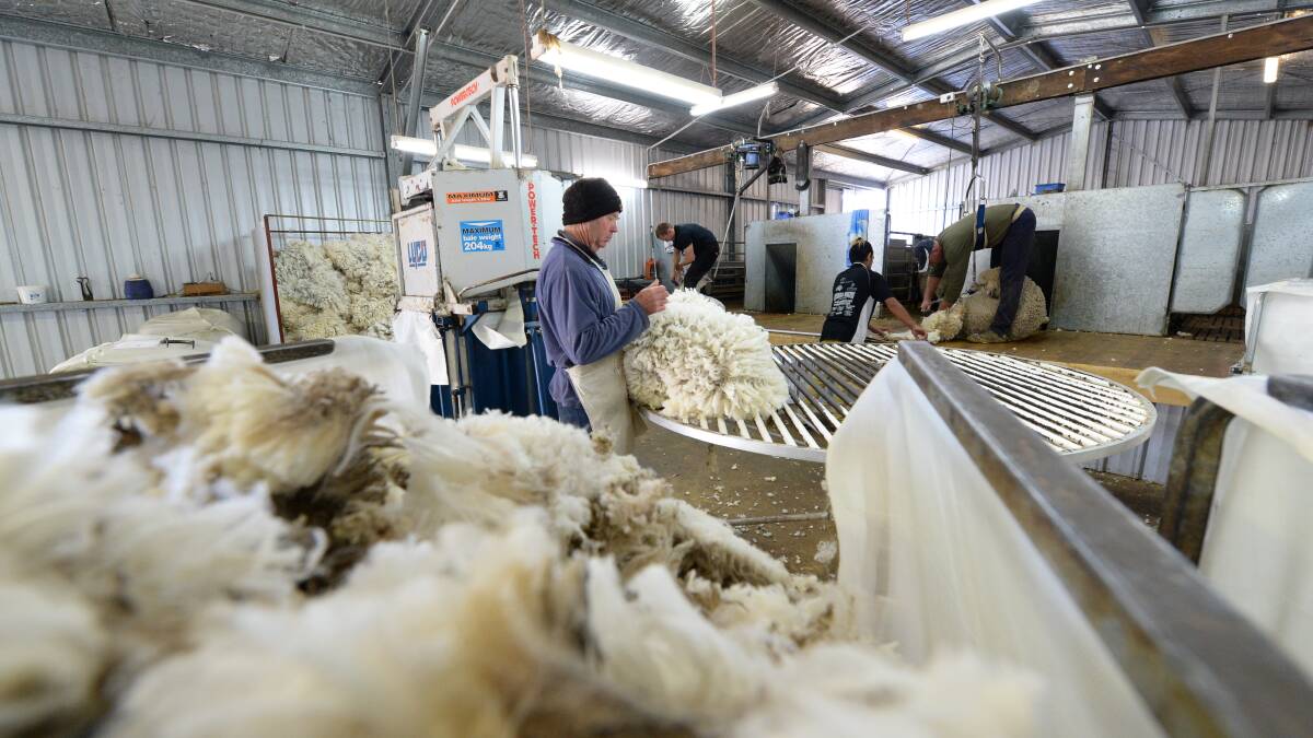 Wool market holds steady under larger offering