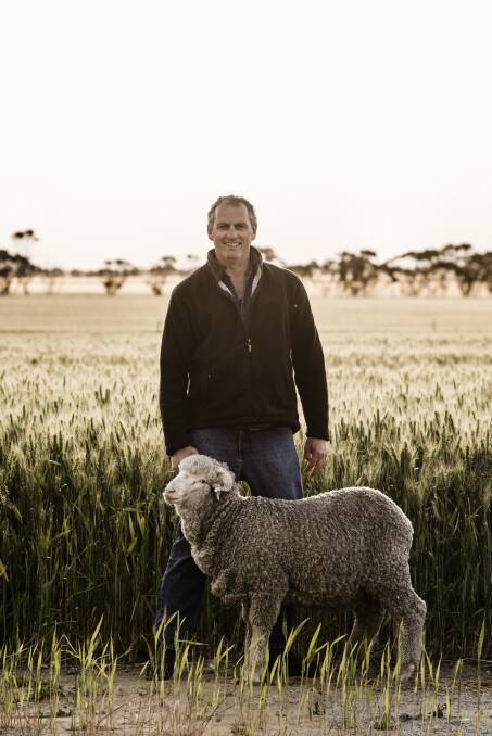 David Vandenberghe at Wattle Dale stud, Scaddan, WA, said by going full pedigree it vastly improves your accuracy of your ASBVs.