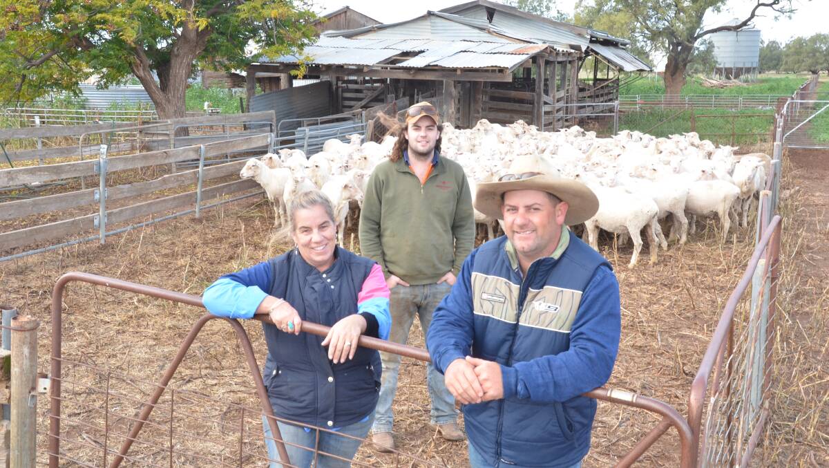 Lyndall Russ-Andrews, Tom Peters and Peter Andrews with his Merino ewes a fortnight after shearing at Tabratong, Nevertire. Photo by Mark Griggs. 