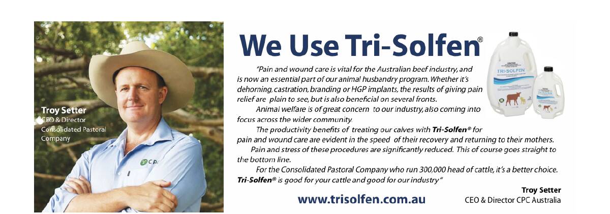 Consolidated Pastoral Company CEO and director Troy Setter has been advocating for the widespread use of pain relief in all of CPC' s beef operations.