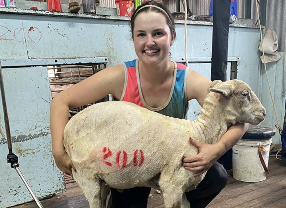Emily Spencer, a third-generation shearer from Tasmania is one success story to emerge from AWI's nationwide shearer training program. Recent feedback from the AWI shearing training has revealed the retention rate for those who were put up on stands is 98 per cent.
