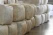 Open-cry wool auctions cease in Melbourne