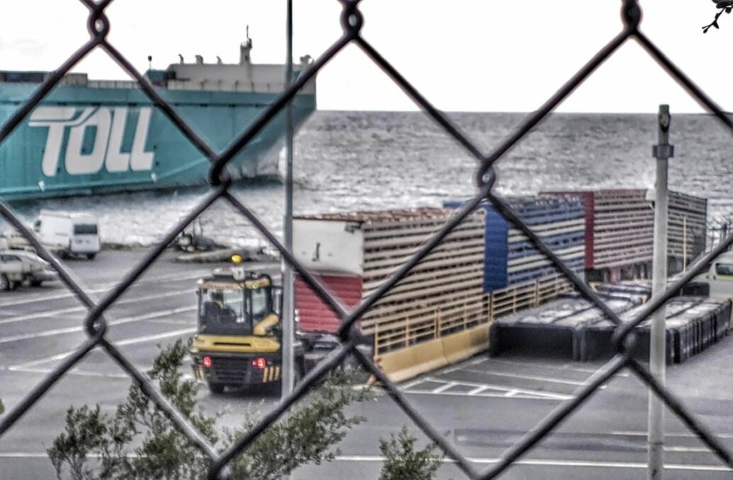 A Facebook post about sheep shipped from Burnie interstate drew speculation about why it was happening. Tasfarmers said a lot of sheep are sent interstate for finishing off at the moment and for processing because of the large and efficient abattoirs. Picture Facebook.