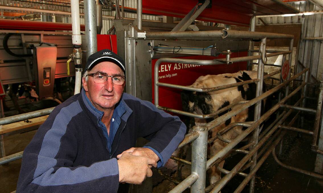 North Motton, Tas, dairy farmer Gary Carpenter said they're having to euthanise male bobby calves which he hates doing. Picture file.