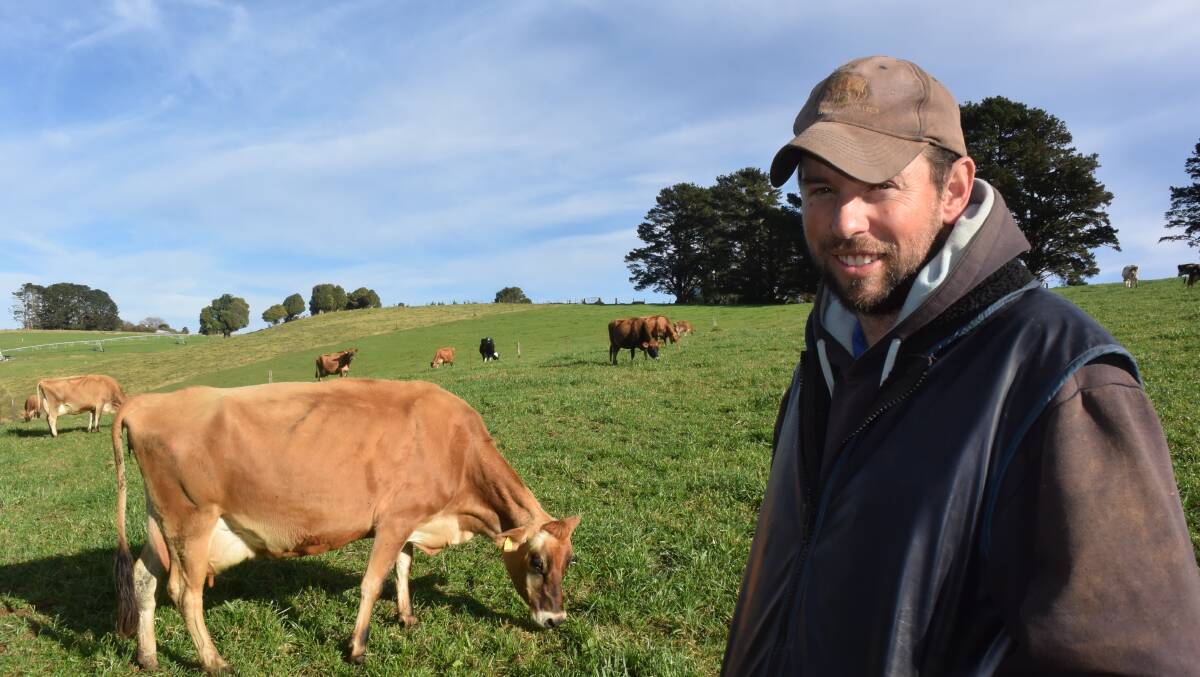 Andrew Marks and family have rebuilt a herd of strong Jersey cows.