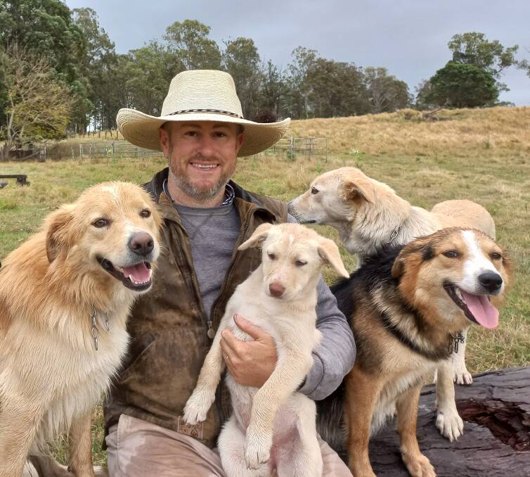 Working dog breeder Joe Leven, Doubtful Creek via Casino, with two year old Big under one arm and his siblings and mother close-by. The yellow Border Collie with uncommon sense and a tough work ethic will work cattle in North Queensland. Photo: Supplied