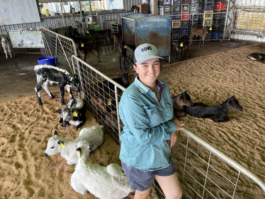 Hannah Bake, Crossmaglen, NSW, with embryo transfer calves born to milking mothers. Offspring tend to be very quiet.