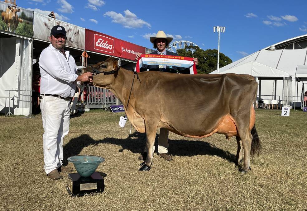 Supreme champion dairy female, Bushlea Irwins Jenny, with exhibitor Rocky Allen, Cobargo, and Michael MacCue, RAS cattle committee.