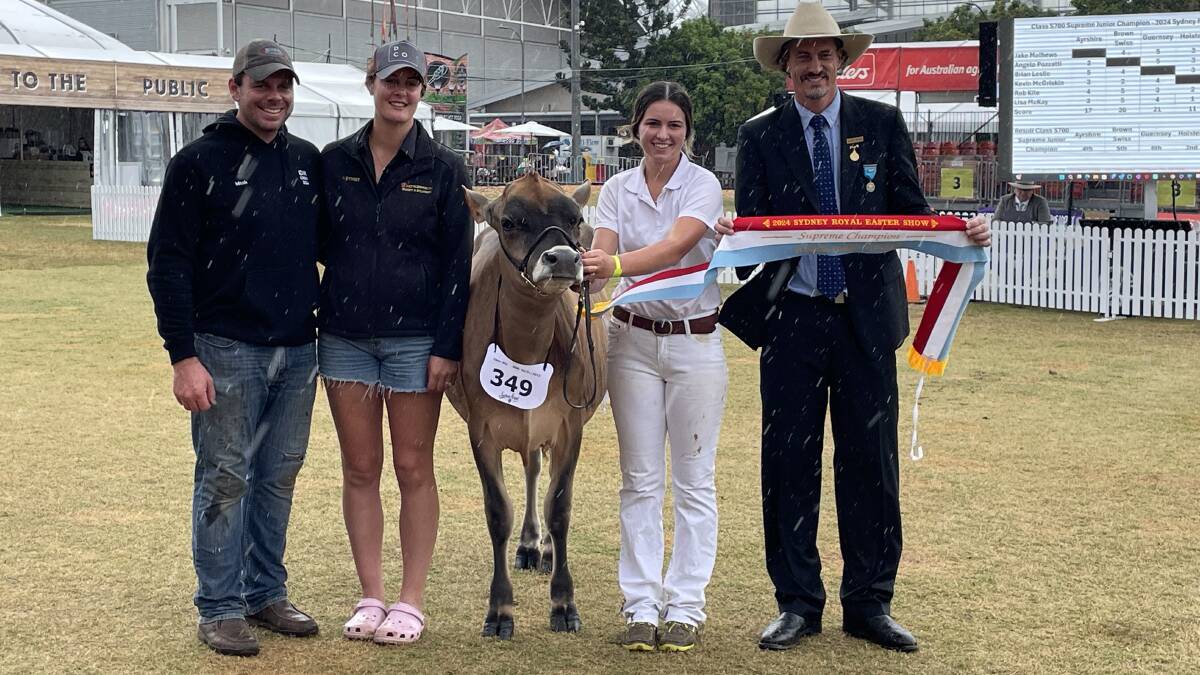 Champion Interbreed junior female, the Jersey Impression Victor Olive, exhibited by Mitchell and Lyndsey Flemming, Newry, Vic, with handler Rebecca Love and cattle committee chair Michael MacCue.
