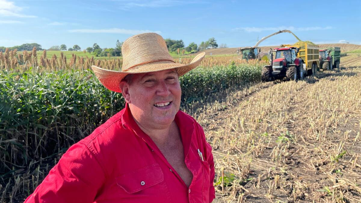 Dairy farmer and farming contractor Terry Toohey, Padua Park, via Casino, NSW, with a crop of forage sorghum that yielded 47t/ha.