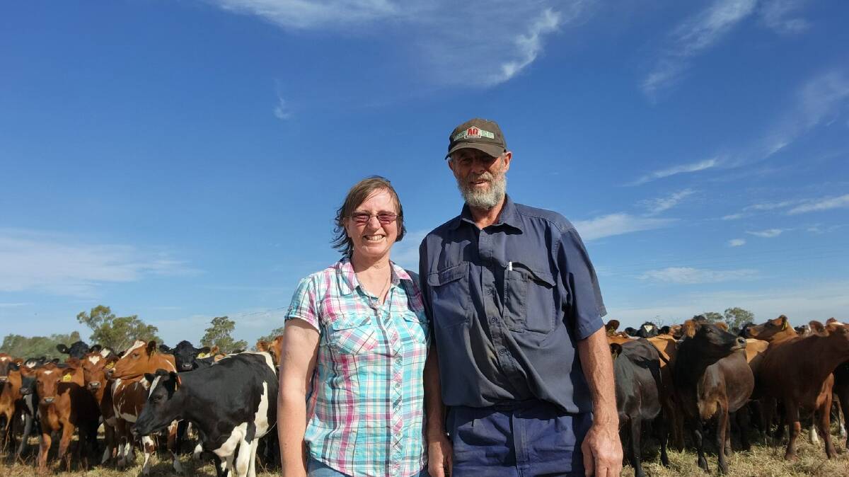 Ruth and Neville Kydd, Finley, NSW, run 1600 dairy cows along a 10km stretch of public road and need to access their paddocks with an off road vehicle.