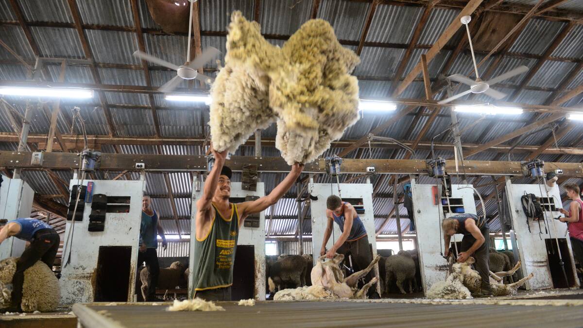 Wool prices jump with small offerings