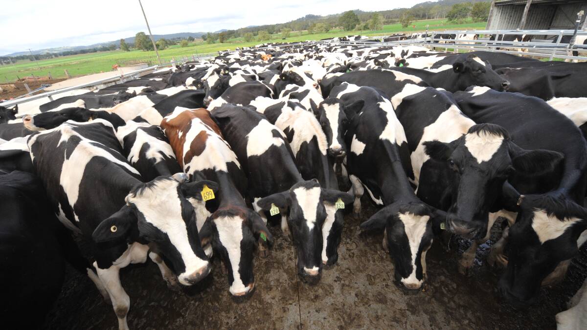 Dairy beef semen sales skyrocket