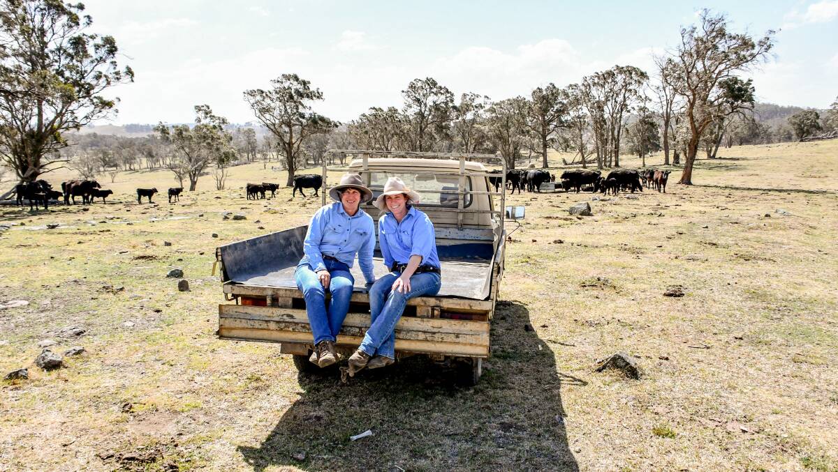 Joanne and Tracey Gowen at their property Argyll near Walcha with some of their Angus breeders. Photos: Lucy Kinbacher