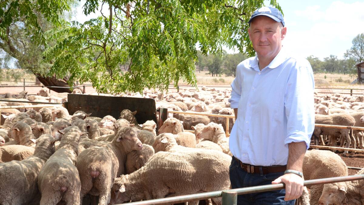 Australian Wool Innovation CEO Stuart McCullough.