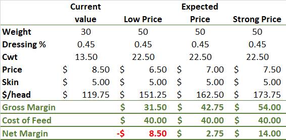 FIGURE 2: Lamb trading scenarios. The lamb feeding calculation uses a buy price of a 30kg store lambs costing $120/head and shows the margin at different finished prices, factoring in $40/head worth of feed.