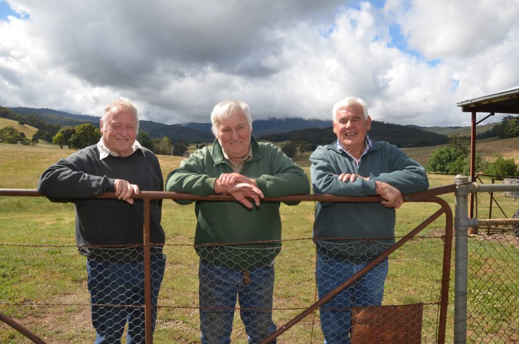 Renowned cattle breeders David, Graham and Ian Webb from Tallangatta Valley are ready for the next chapter. 