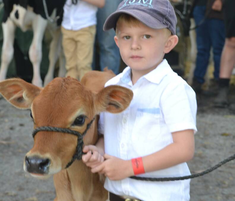 CUTENESS OVERLOAD: Youngster Mitchell Chittick prepares to go into the junior paraders at the Nowra Show.
