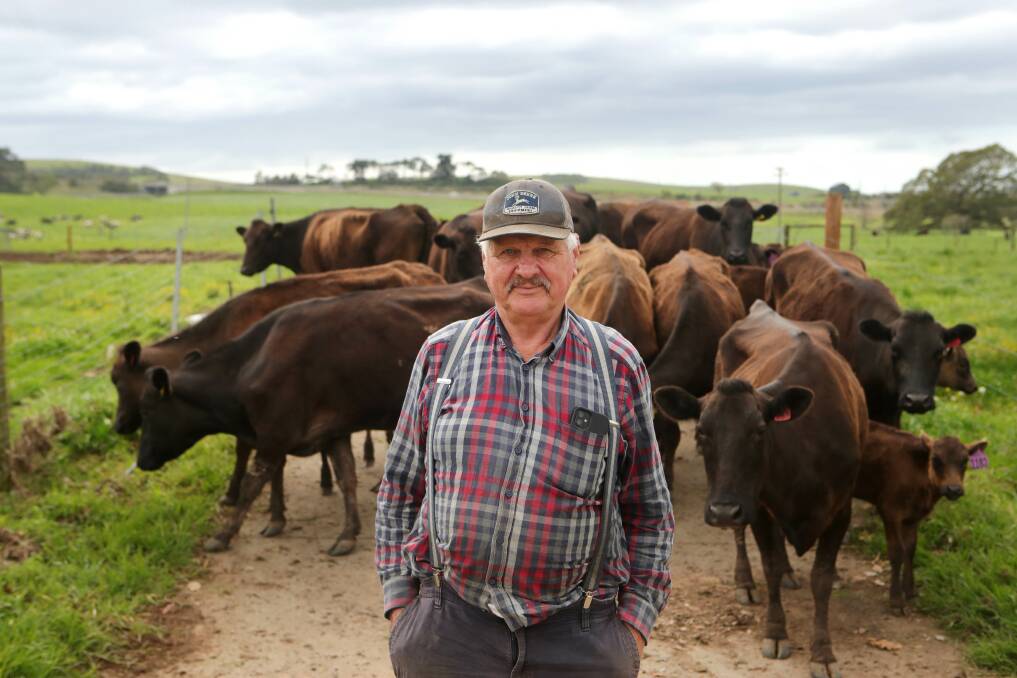 The Schottlanders Wagyu Farm in the Gerringong valley is a labour of love for Gerhard Baden, 73, and while he's "getting close" to break even he wouldn't have change his lifestyle for anyone. Picture by Sylvia Liber.