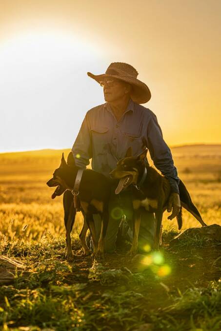 Frank Finger alongside his working Kelpie dogs at his cattle property Hillview, Clermont. Picture: Melissa Spencer 