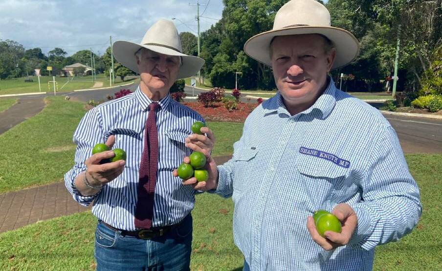 Federal Member for Kennedy Bob Katter and Hill MP Shane Knuth have slammed the federal government's plan to import limes from Mexico.