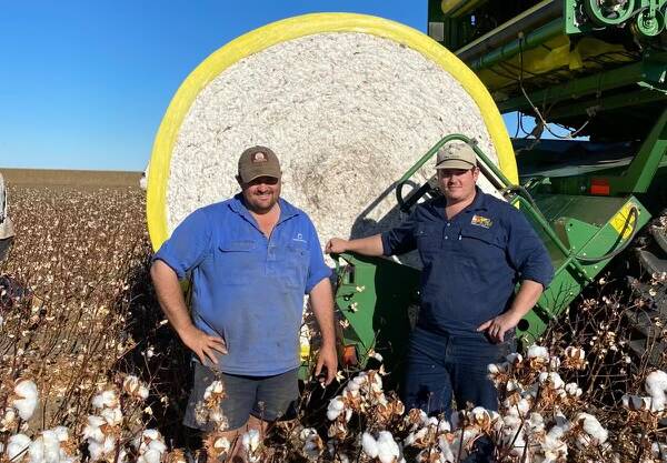 Chris Radford and Luke Findley with the first cotton module produced at Etta Plains. Photo supplied.
