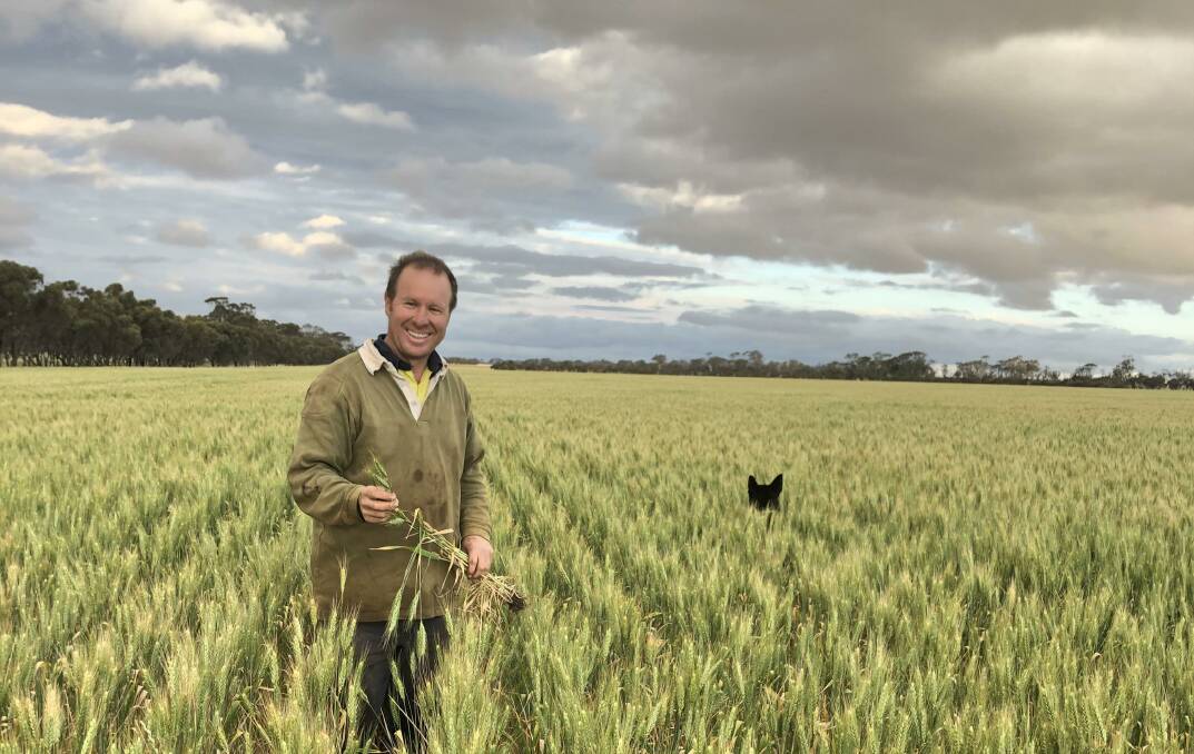 Switching to Rancona Dimension pays dividends for WA farmer