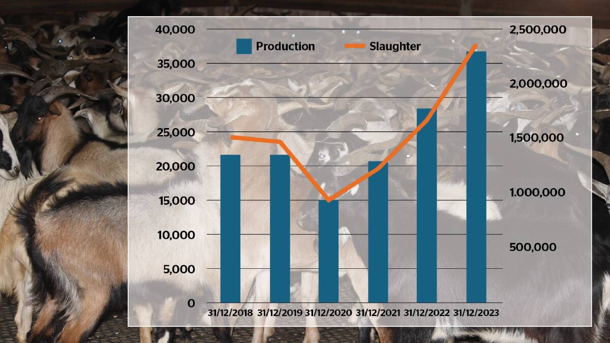 2023 was a record year for goat slaughter and production. Graph courtesy MLA. 