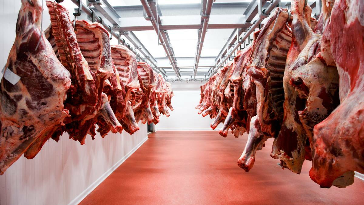 Beef processing shake up for supermarkets | Farm Online | Australia