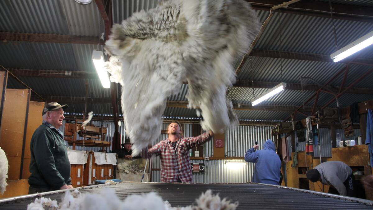 Wool prices will rise as global incomes go up, according to ABARES. FILE PHOTO. 
