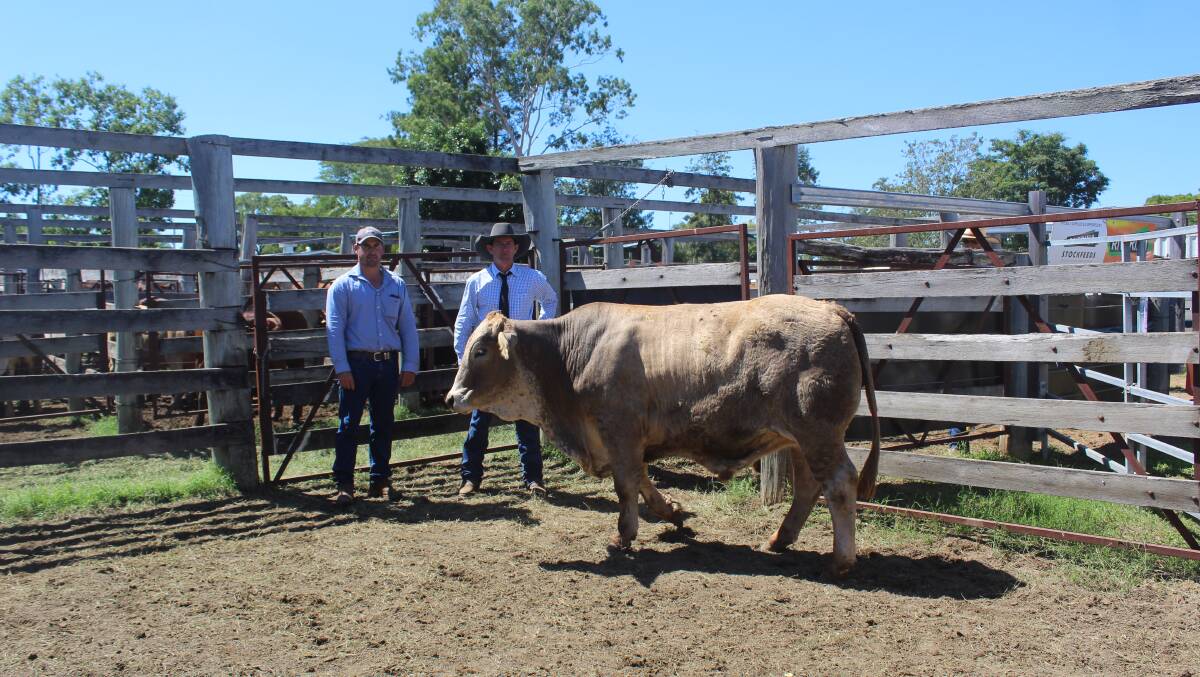 The reserve champion beast, a 548kg grass fed milk tooth Charbray steer with owner
Mitch Upton and judge Barry McIntyre.