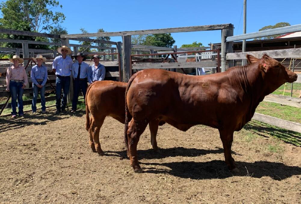 Katria Palmer, Melita Palmer, owner Lance Baker, judge Barry McIntyre and Mitch Upton with the grand champion beast of Gayndah Show. 
